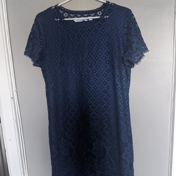 Blue Lace Midi Dress, T-Shirt Cut - Picture 1 of 3